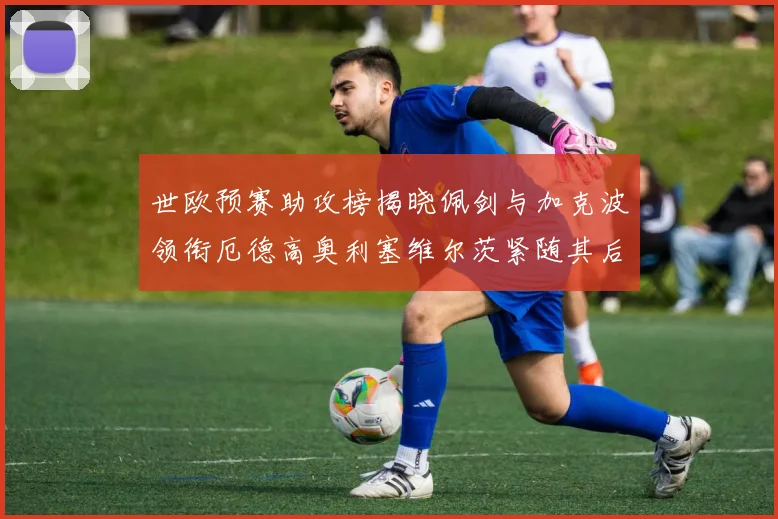 世欧预赛助攻榜揭晓佩剑与加克波领衔厄德高奥利塞维尔茨紧随其后