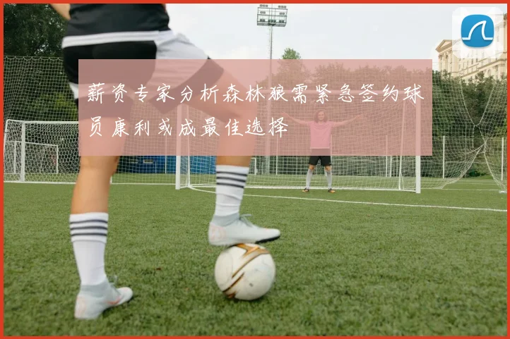 薪资专家分析森林狼需紧急签约球员康利或成最佳选择