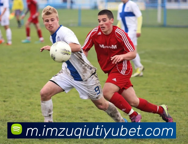 多媒体互动体验